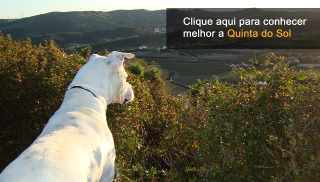 Destaque 